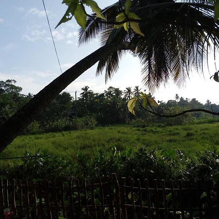 Guruwaththa Eco Lodge Hikkaduwa Exterior foto