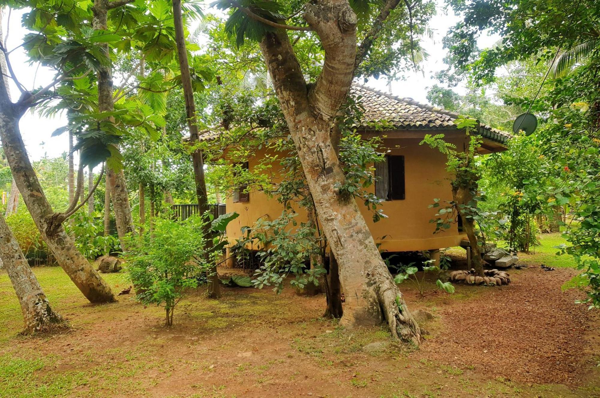 Guruwaththa Eco Lodge Hikkaduwa Exterior foto