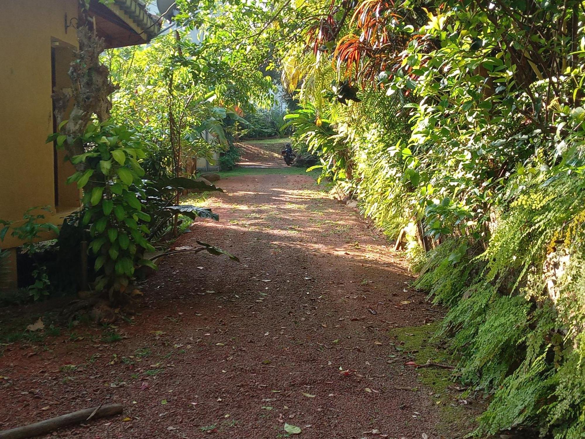 Guruwaththa Eco Lodge Hikkaduwa Zimmer foto