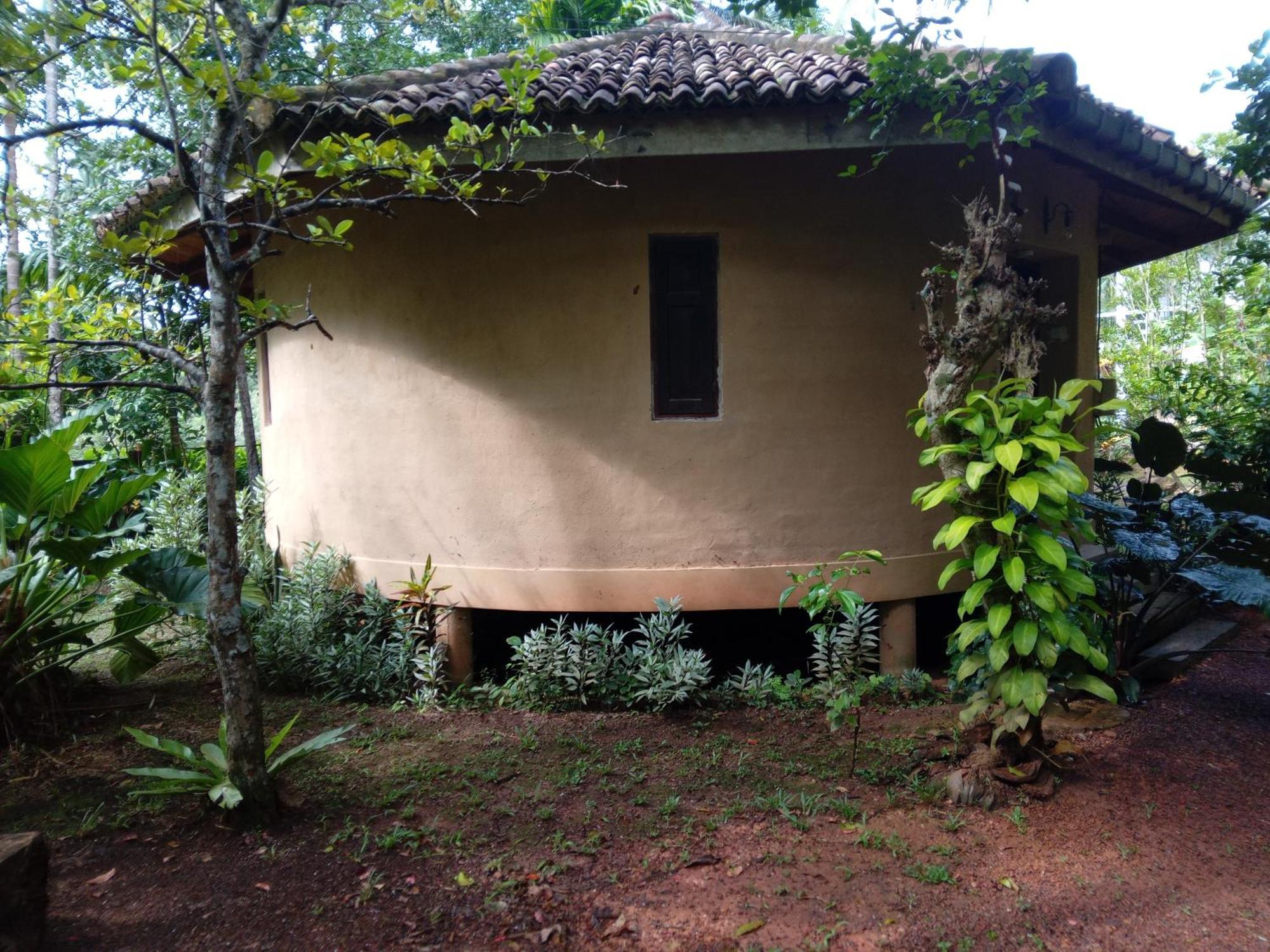 Guruwaththa Eco Lodge Hikkaduwa Zimmer foto