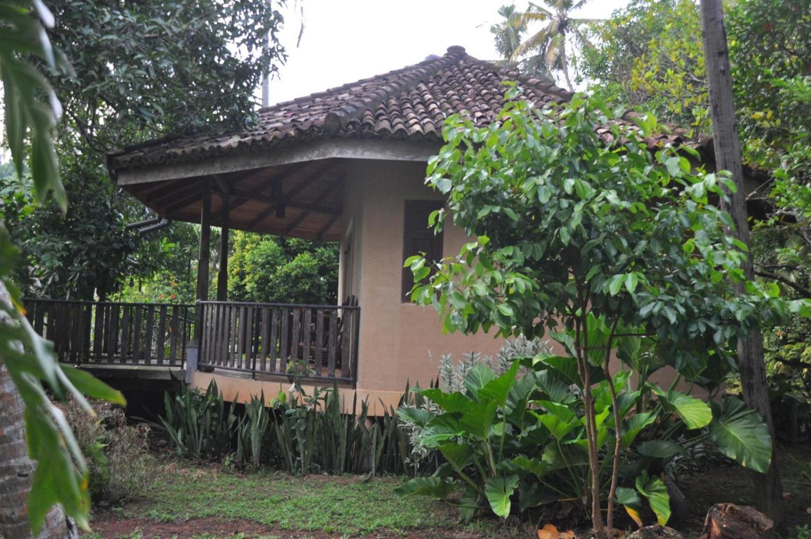 Guruwaththa Eco Lodge Hikkaduwa Zimmer foto