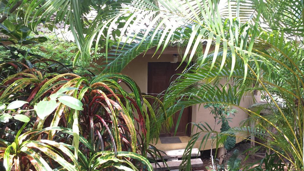 Guruwaththa Eco Lodge Hikkaduwa Exterior foto