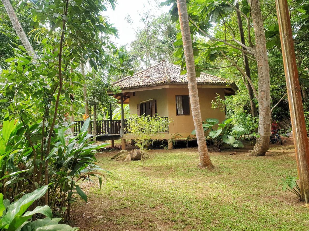 Guruwaththa Eco Lodge Hikkaduwa Exterior foto