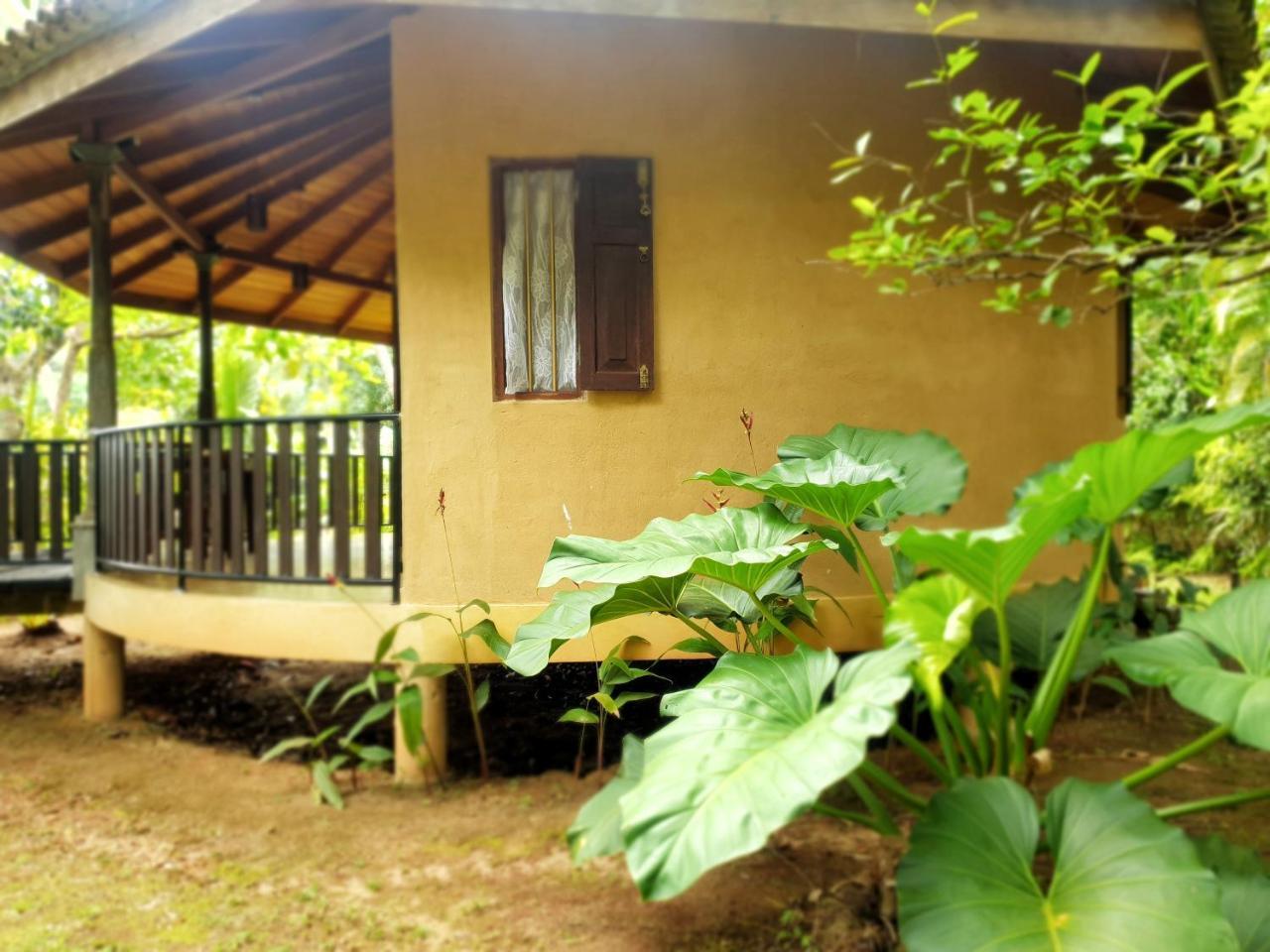 Guruwaththa Eco Lodge Hikkaduwa Exterior foto